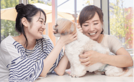 犬と飼い主