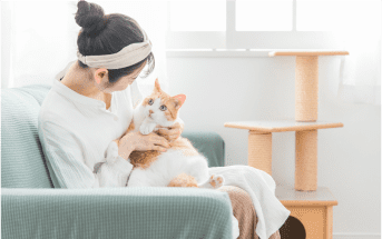 犬