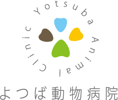 よつば動物病院｜神戸市 明石市｜往診専門 夜間対応 日曜日・祝日も診察
