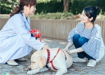 ペットと飼い主