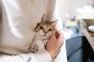 安楽死を選ばないという選択肢―その子のいのちに、最後まで寄り添うということ―