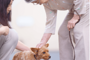 高齢の親とペットを支える動物往診サービス。離れていてもできるケア